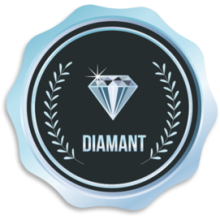 Niveau Diamant